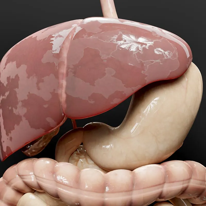 Depuración Hepática