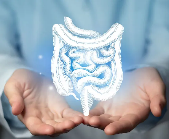 Hidroterapia de Colon