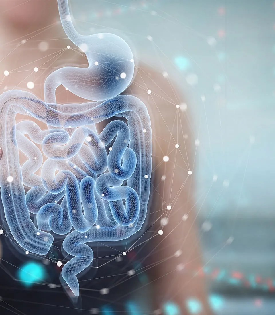 Hidroterapia de Colon