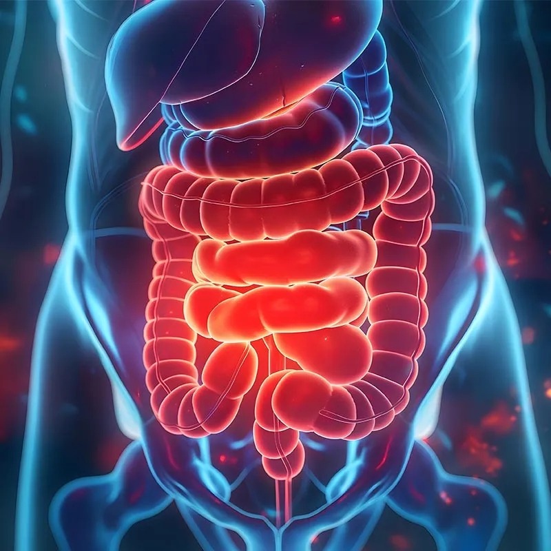 Procedimiento Hidroterapia de Colon